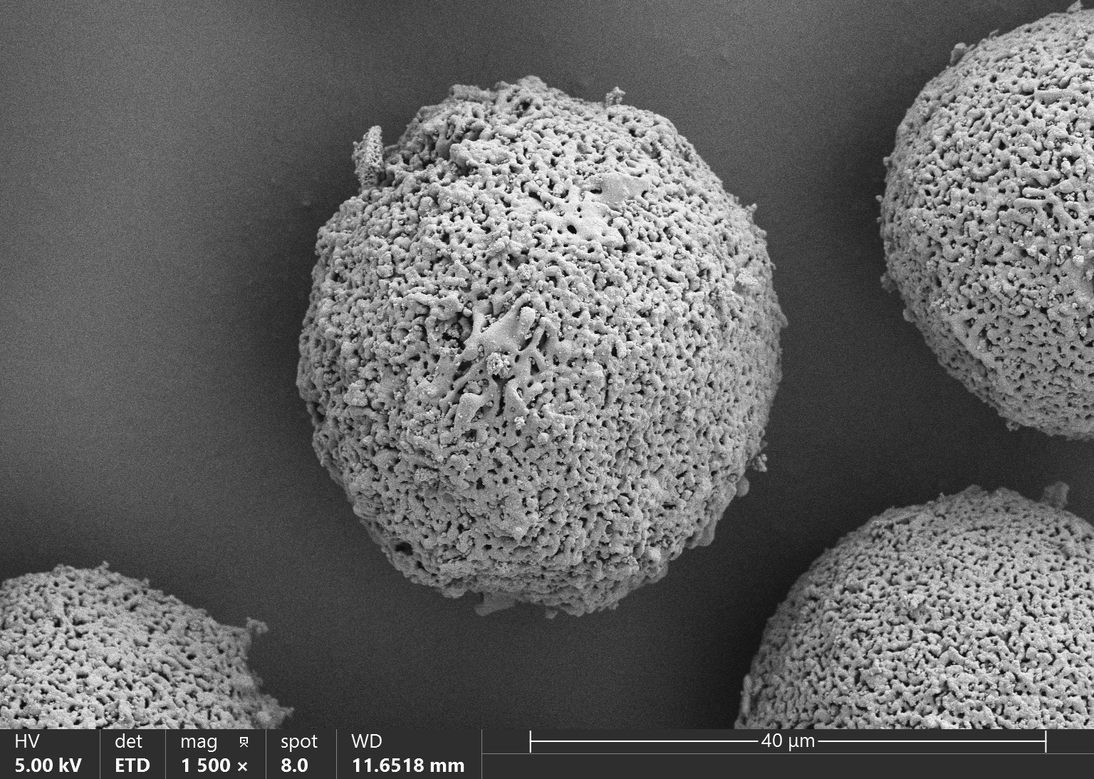 Hydroxyapatite (HAp) Microspheres for Aesthetic Injection, Type I