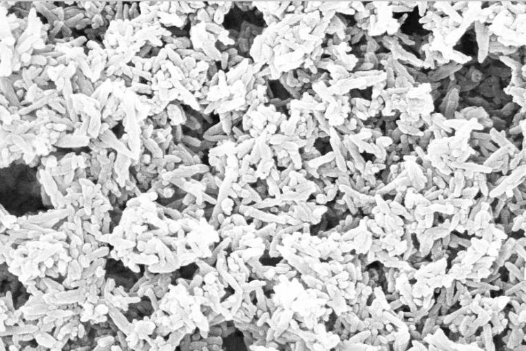 Hydroxyapatite (HAp) Powder for Orthopedic, Type I