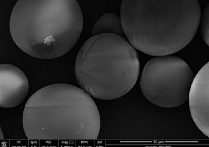 mPEG-PLLA Microspheres